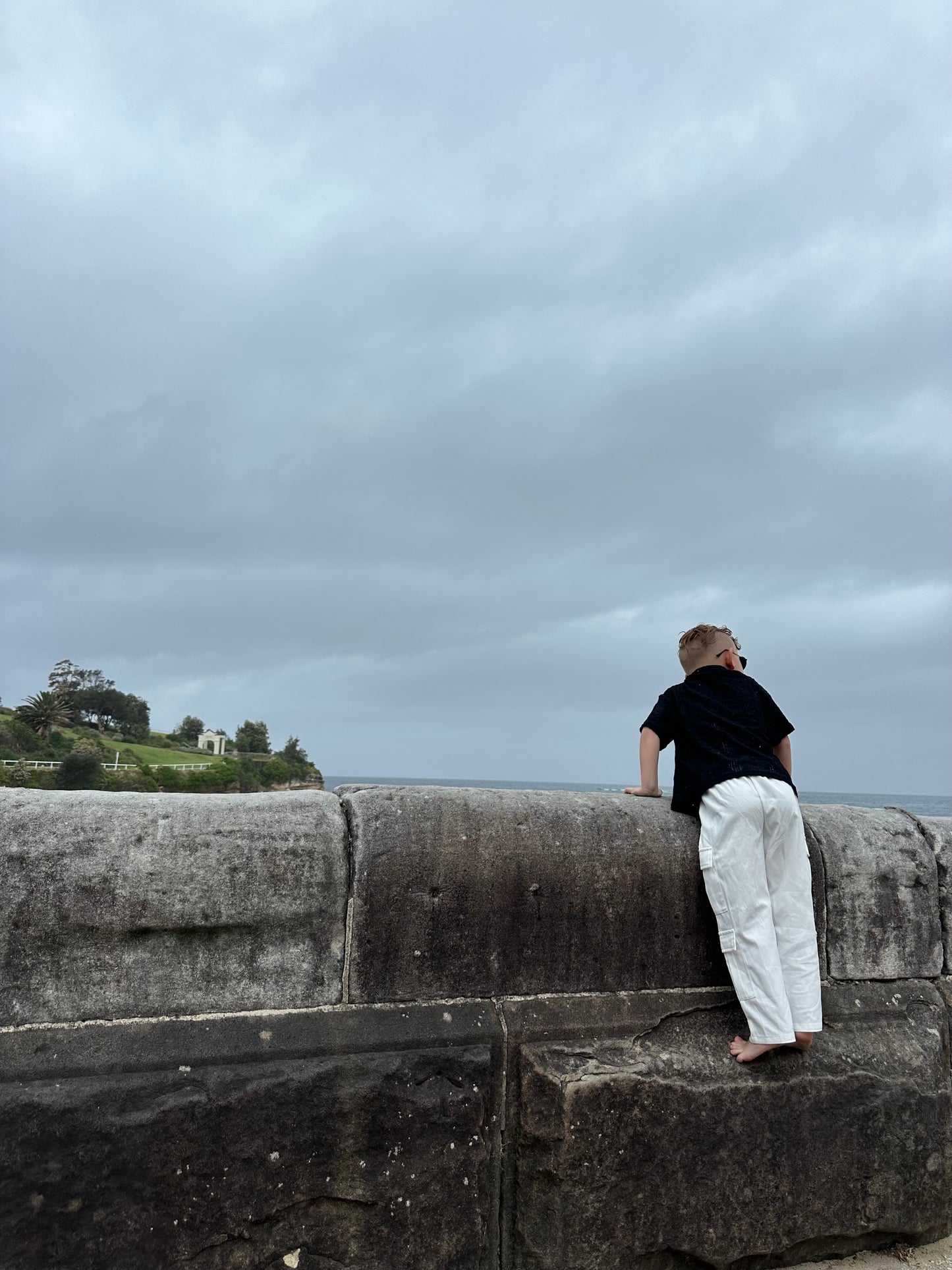 The Gabby Cargo Pant
